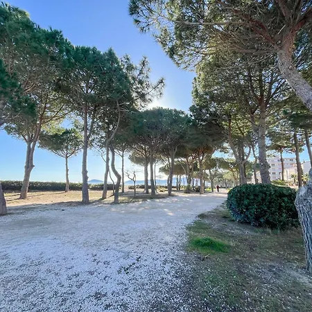 Argeles-plage: T2 Confortable, Proche Et Commerces - Fr-1-753-28 아파트 아르젤레쉬르메르
