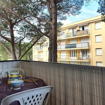 Apartment Argeles-plage: T2 Confortable, Proche Et Commerces - Fr-1-753-28 *